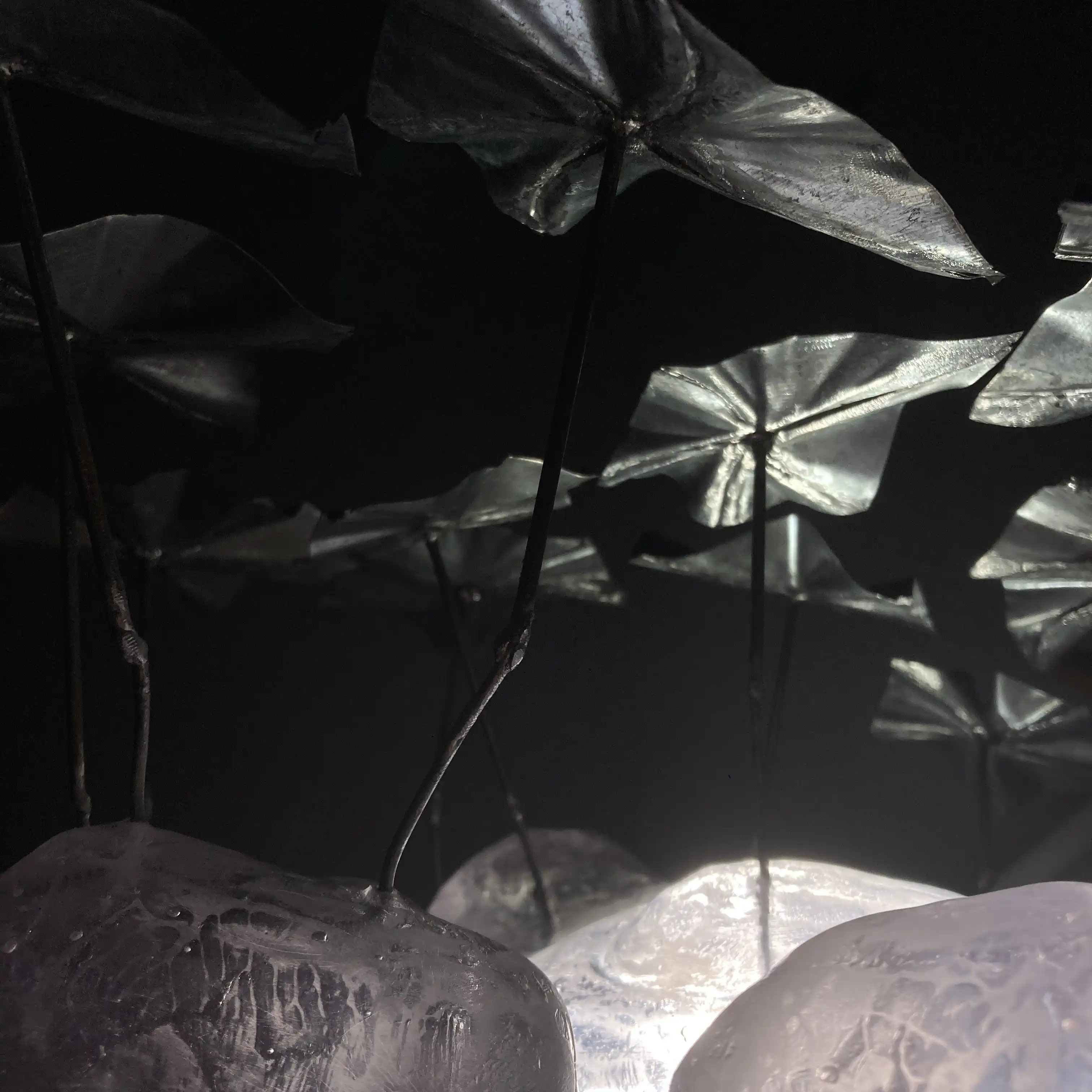 Obra 9